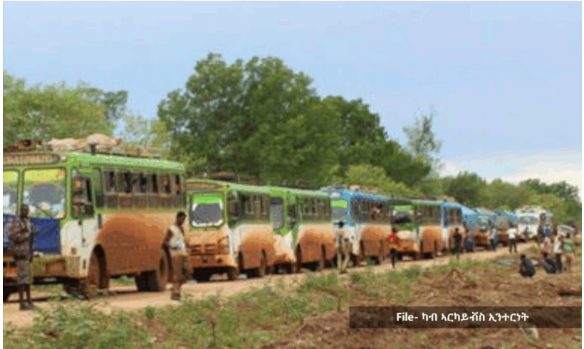 ኢትዮጵያ፣ ተገፊፎም ኣብ ማእሰርቲ ዝጸንሑ ልዕሊ 200 ኤርትራውያን ሰጕጓ