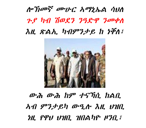 ሐደ ካብቶም ሕልሚ ዓባይ ትግራይ ዘለዎ ዋህዮ ኣማኒኤል ብልማማ ነዝማሪኖ ትግራዊ ዶ በልካዮ...........